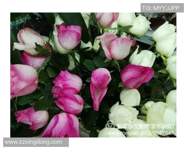 人品堪忧的足球明星揭示了光鲜背后的黑暗面与道德危机