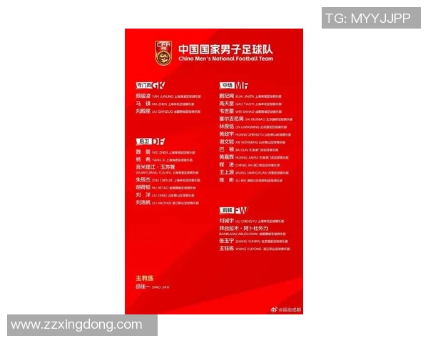中国足球国家队最新球员名单及其在国际赛场上的表现分析与展望