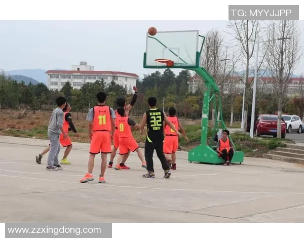 洪湖篮球明星全景盘点及其辉煌成就详细介绍