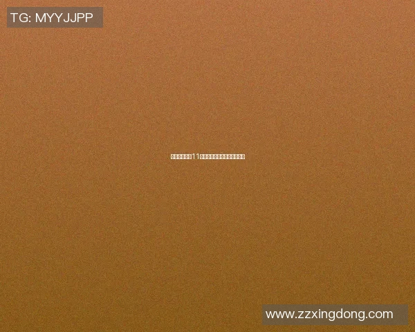 篮球明星数字11的传奇之路与背后的故事揭秘